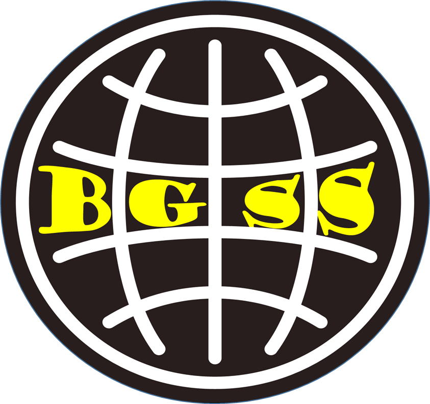 BaradGeo Soft Solutions logo